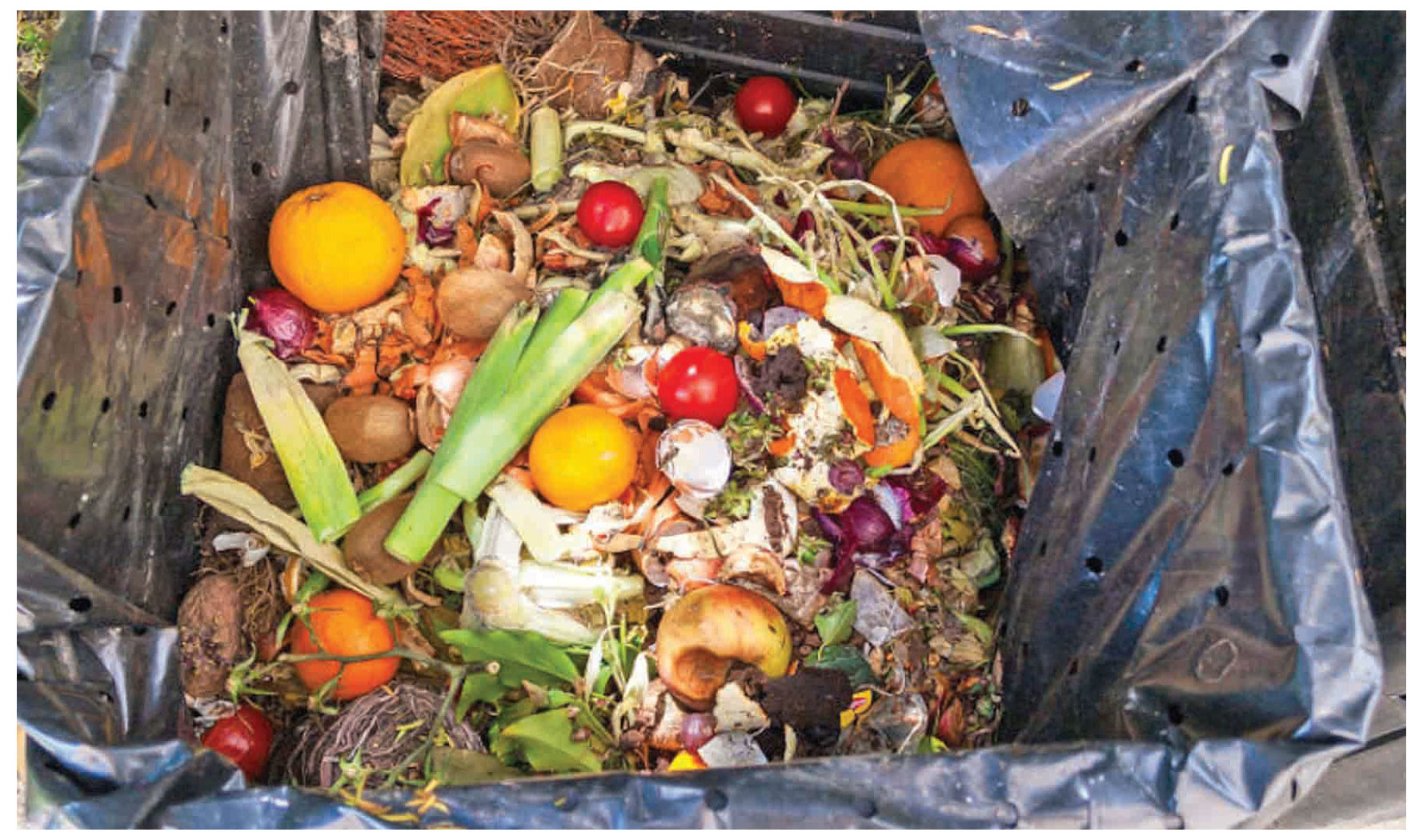 DR. MD. HARUNUR RASHID